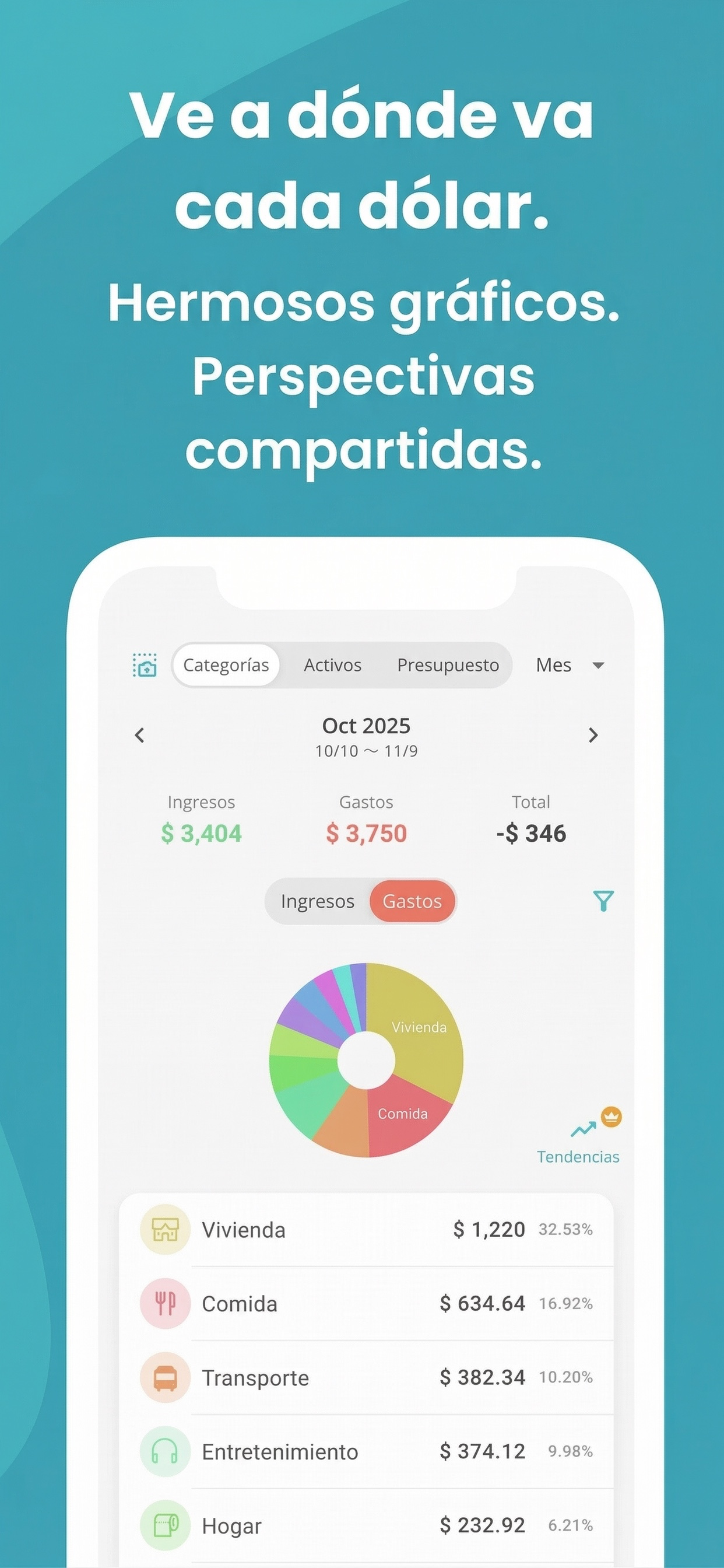 Captura de Manebo con gráficos de gasto e informes